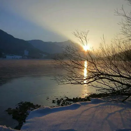 Fuchs غروندلسي